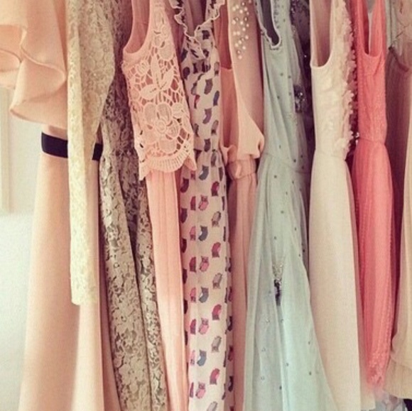 Meet your Posher, Rosa - Picture 8 of 8